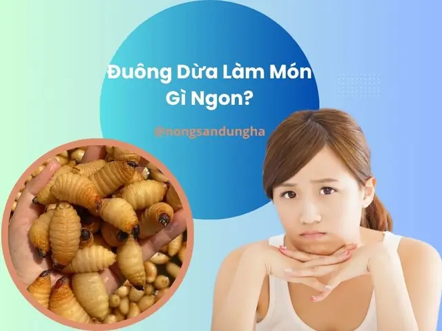 Đuông Dừa Làm Món Gì Ngon? Khám Phá 7+ Món Ăn "nức Tiếng" Từ "khoáng San Hô"