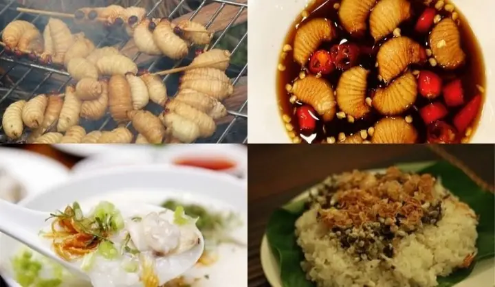 Đuông Dừa Làm Món Gì Ngon? Khám Phá 7+ Món Ăn "nức Tiếng" Từ "khoáng San Hô"