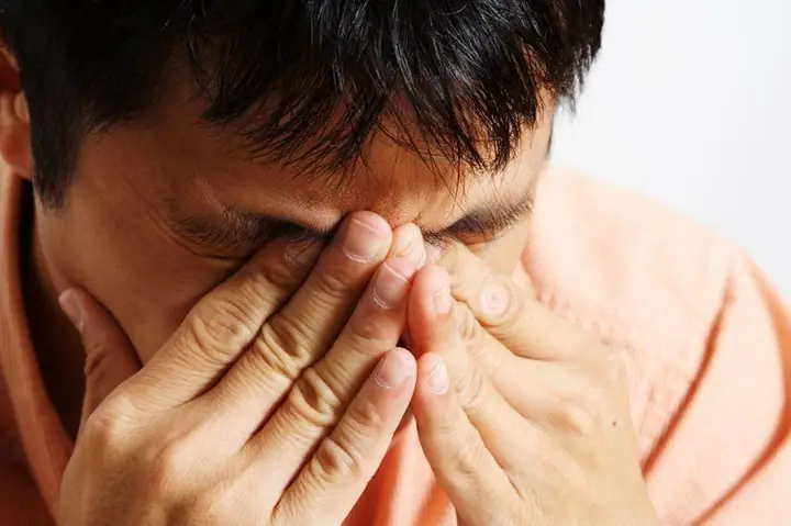 Đường Hoa Mai Là Đường Gì? Nguồn Gốc, Ý Nghĩa Và Những Điều Có Thể Bạn Chưa Biết