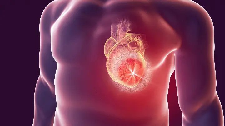 Gà Hầm Ngải Cứu Có Tác Dụng Gì? Lợi Ích Và Lưu Ý Khi Dùng