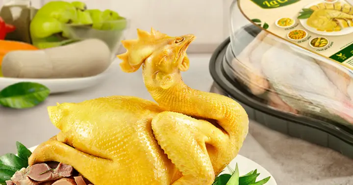 Gà Mái Dầu Nấu Món Gì Ngon? 10+ Món Ngon Dễ Làm Từ Gà Mái Béo