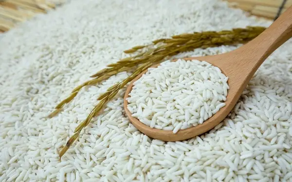 Gạo Nếp Nào Nấu Xôi Ngon Nhất? Đánh Giá Chi Tiết 5 Loại Gạo Nếp "gạo Cưng" Của Mọi Nhà