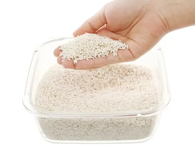 Gạo Nếp Nào Nấu Xôi Ngon Nhất? Đánh Giá Chi Tiết 5 Loại Gạo Nếp "gạo Cưng" Của Mọi Nhà