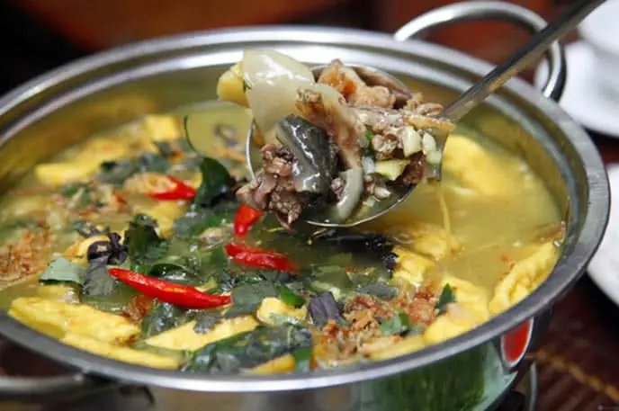 Giá Ba Ba Nấu Chuối: Bảng Chi Phí, Nguyên Liệu & Kinh Nghiệm Thực Tế