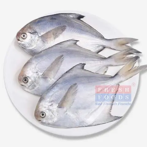 Giá Cá Chim Trắng Biển: Phân Tích Chi Tiết, So Sánh & Cập Nhật Mới Nhất