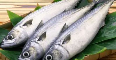 Đánh Giá Chi Tiết Giá Cá Thu 1 Nắng: Bảng So Sánh Top 5 Loại Hot Nhất Thị Trường