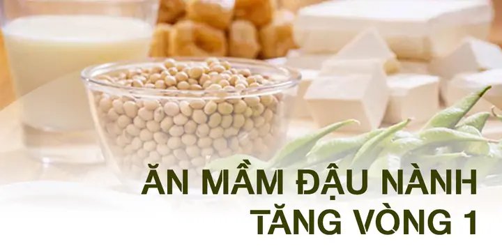 Đánh Giá Chi Tiết Giá Đậu Nành Có Tốt Không Cho Sức Khỏe