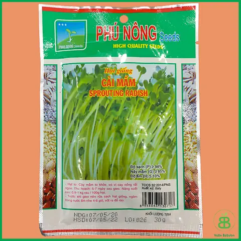 Bảng Giá Rau Mầm Cải Ngọt Mới Nhất & Top 3 Địa Chất Uy Tín Nên Tham Khảo