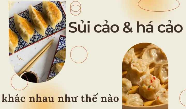 Há Cảo Và Sủi Cảo: Phân Biệt Chi Tiết Từ Hình Dáng Đến Hương Vị Há Cảo Và Sủi Cảo: Phân Biệt Chi Tiết Từ Hình Dáng Đến Hương Vị