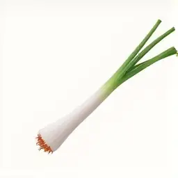 Hành Boa Rô Là Hành Gì? Nguồn Gốc, Công Dụng Và Cách Phân Biệt