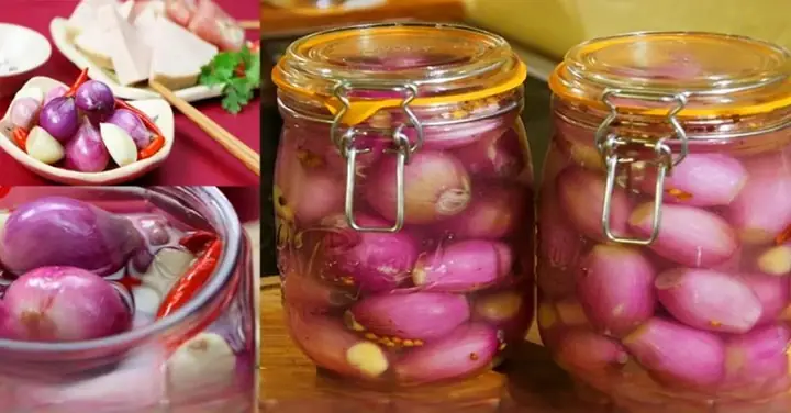 Top 10 Hành Tinh Ngầm Giảm Chua Tốt Nhất: Đánh Giá Chi Tiết & Lựa Chọn Năm 2026 Top 10 Hành Tinh Ngầm Giảm Chua Tốt Nhất: Đánh Giá Chi Tiết & Lựa Chọn Năm 2026