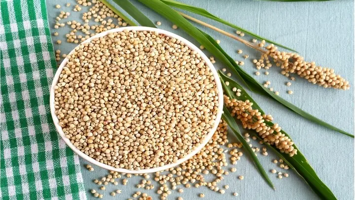Hạt Bo Bo Là Gì? Nguồn Gốc, Công Dụng Và Những Điều Bạn Cần Biết