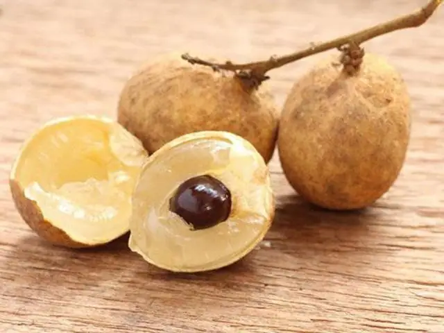 Hạt Nhãn Có Ăn Được Không? Giải Đáp Chi Tiết Và Những Lợi Ích Bất Ngờ Hạt Nhãn Có Ăn Được Không? Giải Đáp Chi Tiết Và Những Lợi Ích Bất Ngờ