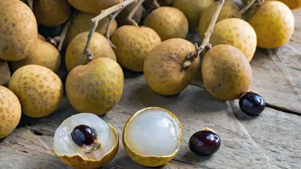 Hạt Nhãn Có Tác Dụng Gì? 6+ Lợi Ích Sức Khỏe Và Cách Dùng Hiệu Quả