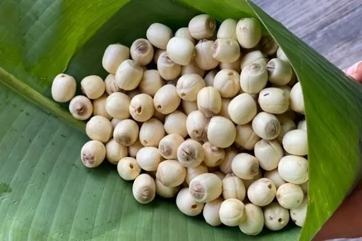 10 Món Ngon Dễ Làm Từ Hạt Sen Khô Bạn Không Thể Bỏ Qua
