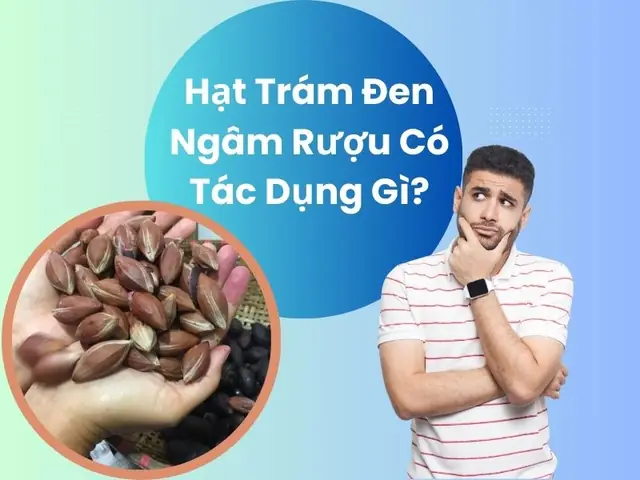 Hạt Trám Đen Ngâm Rượu Có Tác Dụng Gì? Lợi Ích Và Những Lưu Ý Quan Trọng Hạt Trám Đen Ngâm Rượu Có Tác Dụng Gì? Lợi Ích Và Những Lưu Ý Quan Trọng