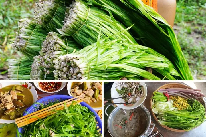 Hẹ Nước Làm Gì Ăn? 15+ Món Ngon Đơn Giản, Dễ Làm Tại Nhà