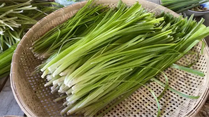 Hẹ Nước Làm Gì Ăn? 15+ Món Ngon Đơn Giản, Dễ Làm Tại Nhà