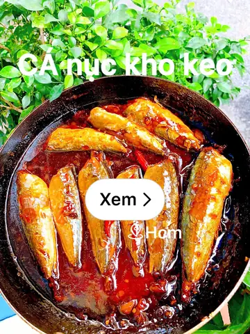 Khám Phá Thế Giới Ẩm Thực: Tìm Hiểu Về Hình Ảnh Cá Nục Kho Và Cách Chế Biến Chuẩn Vị
