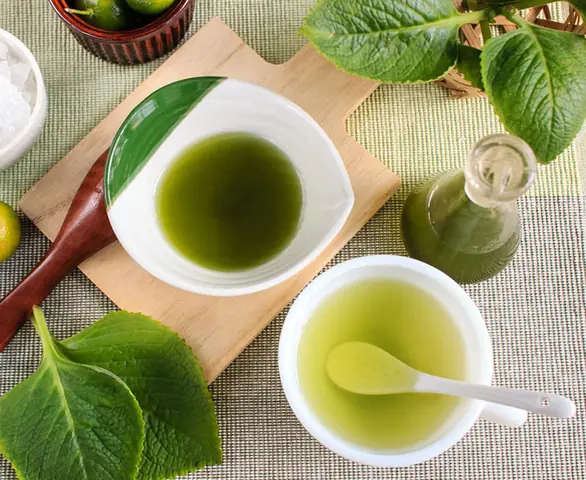 Khám Phá Chi Tiết Hình Ảnh Cây Húng Chanh: Đặc Điểm, Công Dụng Và Cách Trồng Khám Phá Chi Tiết Hình Ảnh Cây Húng Chanh: Đặc Điểm, Công Dụng Và Cách Trồng