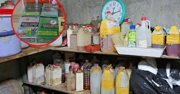 Khám Phá Sức Hút Của Hình Ảnh Chai Dầu Điều Trong Nghệ Thuật Trang Trí