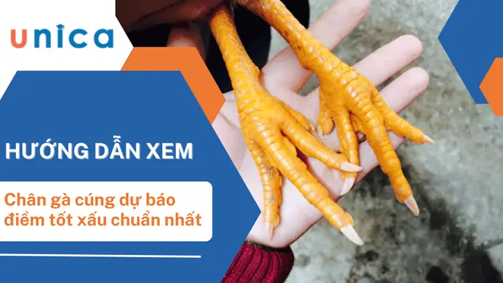 Khám Phá Ý Nghĩa Tâm Linh Và Cách Trình Bày Hình Ảnh Chân Gà Cúng Đẹp