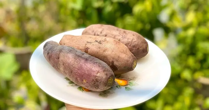 Khám Phá Sức Hút Kỳ Diệu Từ Hình Ảnh Khoai Lang Luộc: Đơn Giản Mà Gây Thương Nhớ
