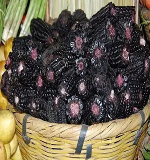 Khám Phá Sức Hút Kỳ Diệu Của Hình Ảnh Ngô Nếp Luộc Trong Ẩm Thực Việt Khám Phá Sức Hút Kỳ Diệu Của Hình Ảnh Ngô Nếp Luộc Trong Ẩm Thực Việt