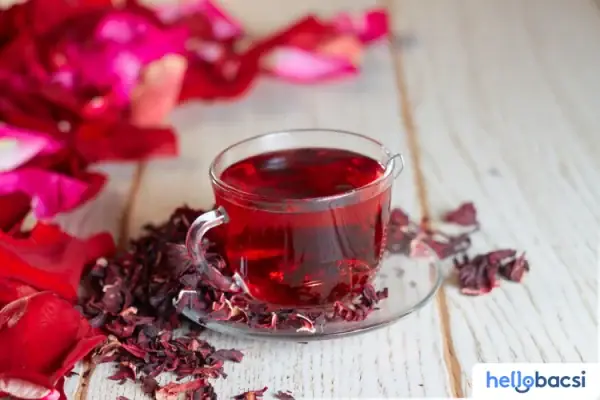 10+ Công Dụng Của Hoa Atiso Đỏ Bạn Không Thể Bỏ Qua