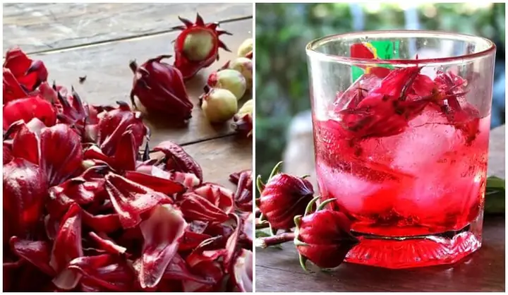 Uống Nước Hoa Atiso Đỏ Có Tác Dụng Gì? Lợi Ích Và Cách Dùng Đúng Chuẩn