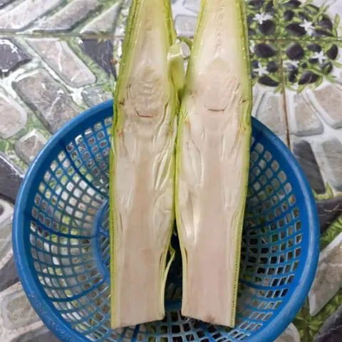 Hướng Dẫn Làm Món Hoa Chuối Xào Thịt Lợn Ngon Miệng, Dễ Làm Tại Nhà Hướng Dẫn Làm Món Hoa Chuối Xào Thịt Lợn Ngon Miệng, Dễ Làm Tại Nhà