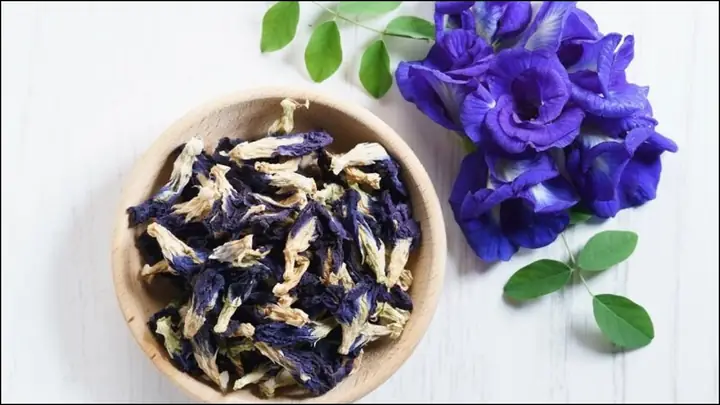 15+ Cách Chế Biến Hoa Đậu Biếc Tươi Đơn Giản, Bổ Dưỡng Cho Sức Khỏe 15+ Cách Chế Biến Hoa Đậu Biếc Tươi Đơn Giản, Bổ Dưỡng Cho Sức Khỏe