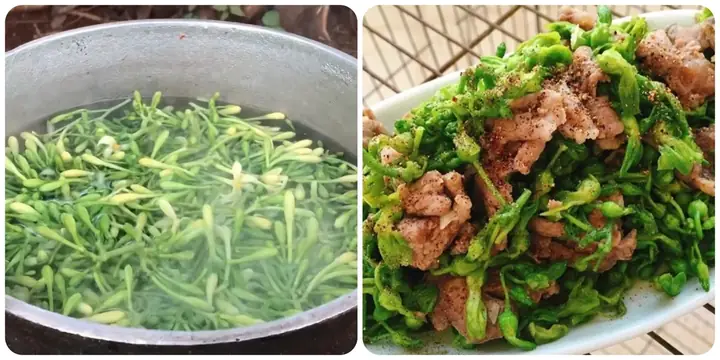 Món Hoa Đu Đủ Xào Tỏi Ngon Giòn Ngon Miệng, Dễ Làm Tại Nhà Món Hoa Đu Đủ Xào Tỏi Ngon Giòn Ngon Miệng, Dễ Làm Tại Nhà