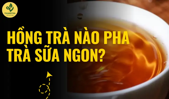 Hồng Trà Nào Pha Trà Sữa Ngon? Top 5 Dòng Trà "thần Thánh" Cho Giới Chơi Sành Điệu Hồng Trà Nào Pha Trà Sữa Ngon? Top 5 Dòng Trà "thần Thánh" Cho Giới Chơi Sành Điệu