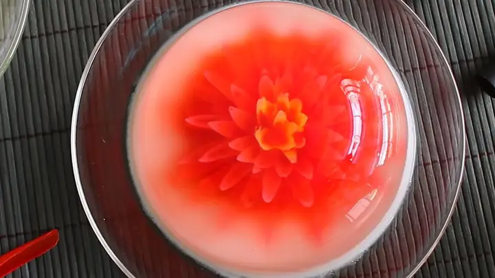 Hướng Dẫn Làm Thạch Rau Câu 3d Đơn Giản Tại Nhà