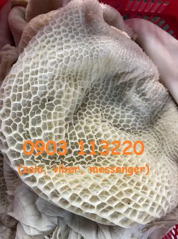 Khăn Lông Bò Hấp Gừng: Công Dụng, Cách Dùng Và Lưu Ý Quan Trọng