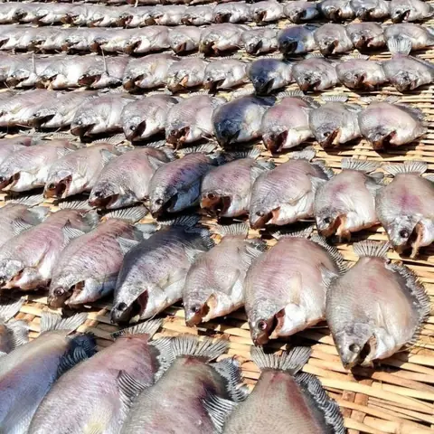 Khô Cá Sặc Nấu Canh Chua: Đánh Giá Chi Tiết 3 Cách Nấu Chuẩn Vị Nam Bộ