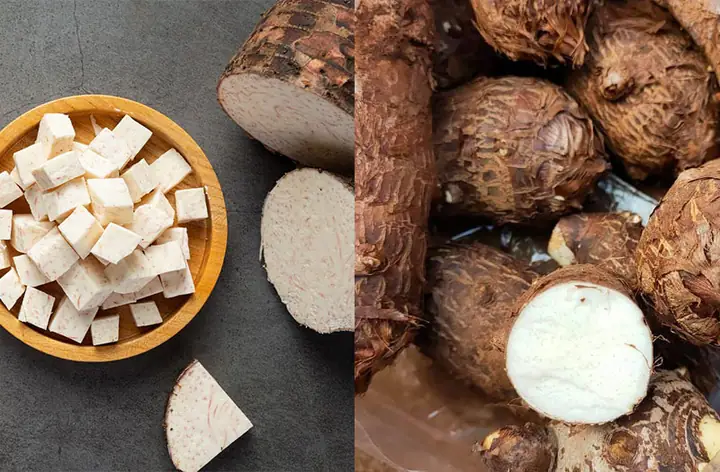 Phân Biệt Khoai Cao Và Khoai Môn: Đặc Điểm, Công Dụng Và Cách Nhận Biết Chính Xác