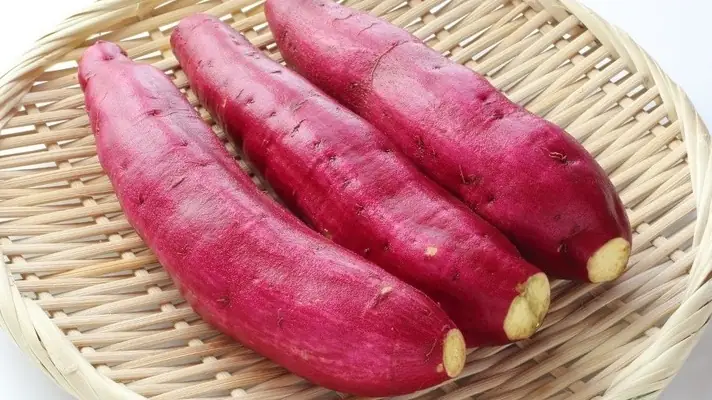 Khoai Lang Nghiền Cho Bé: Hướng Dẫn Chi Tiết Từ A-z Cho Bố Mẹ