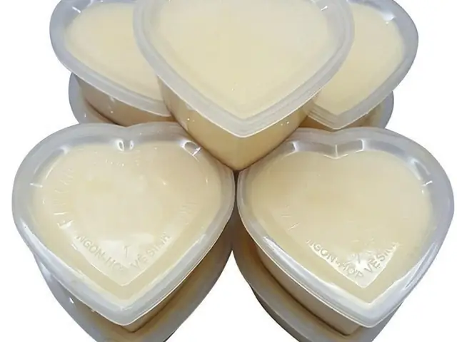 Khuôn Bánh Flan Bằng Sứ: Lựa Chọn Hoàn Hảo Cho Món Bánh Kem Trứng Thơm Ngon