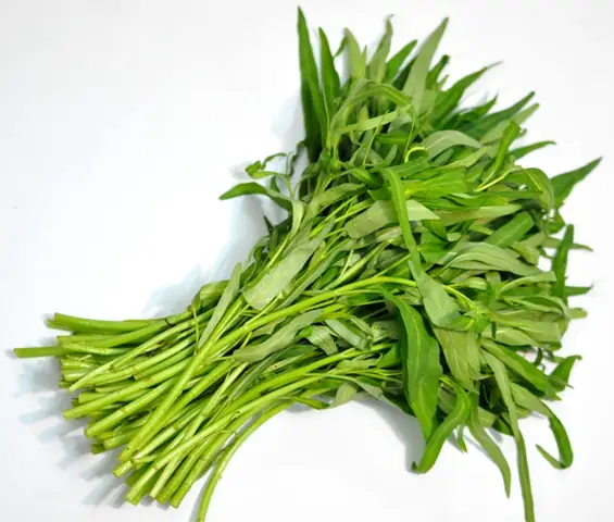 Rau Muống (空 芯 菜) Là Gì? Tìm Hiểu Thông Tin Và Cách Dịch Sang Tiếng Việt