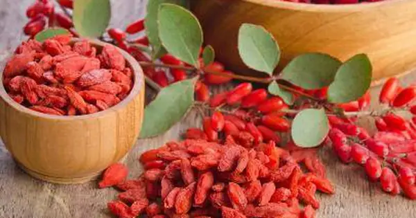 Kỷ Tử Nấu Món Gì? 10+ Món Ăn Bổ Dưỡng Từ Quả Kỷ Tử Cho Sức Khỏe