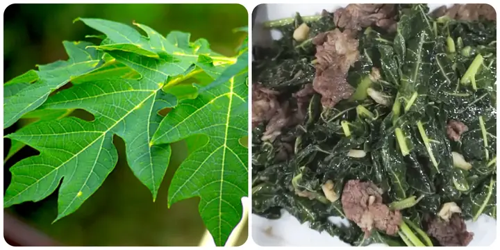 Lá Đu Đủ Xào Tỏi: Công Thức Dinh Dưỡng Cho Bữa Cơm Gia Đình
