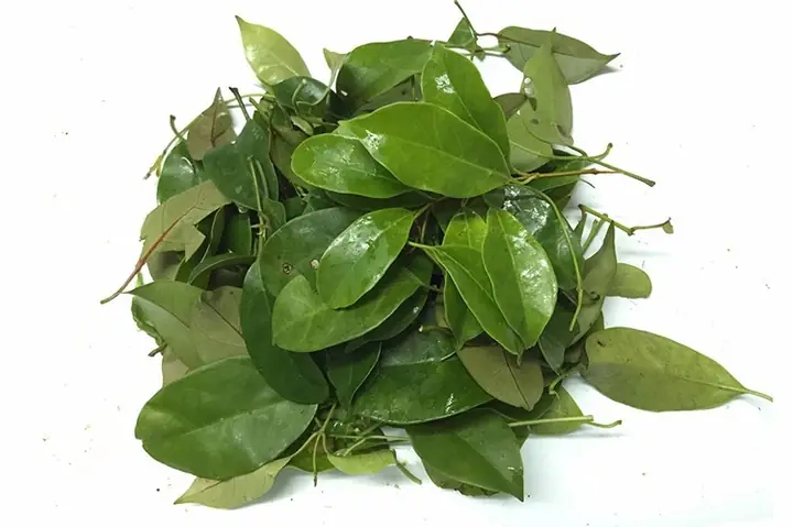 Khám Phá Sự Khác Biệt Giữa Lá Lồm Và Lá Giang Trong Ẩm Thực