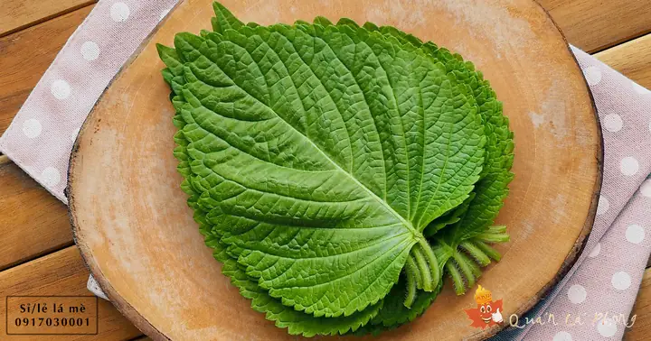 Lá Mè Hàn Quốc Có Tác Dụng Gì? Khám Phá Công Dụng Bất Ngờ