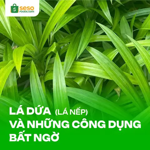 Lá Nếp Và Lá Dứa: Phân Biệt Chi Tiết Và Công Dụng Tuyệt Vời Trong Ẩm Thực Lá Nếp Và Lá Dứa: Phân Biệt Chi Tiết Và Công Dụng Tuyệt Vời Trong Ẩm Thực
