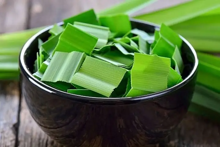 Lá Nếp Và Lá Dứa: Phân Biệt Chi Tiết Và Công Dụng Tuyệt Vời Trong Ẩm Thực Lá Nếp Và Lá Dứa: Phân Biệt Chi Tiết Và Công Dụng Tuyệt Vời Trong Ẩm Thực