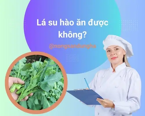 Lá Su Hào Ăn Được Không? Tìm Hiểu Chi Tiết Về Loại Lá Này Trong Ẩm Thực