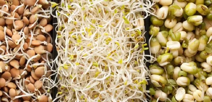 Các Món Gia Do Tự Làm Tại Nha Đơn Giản, Thơm Ngon