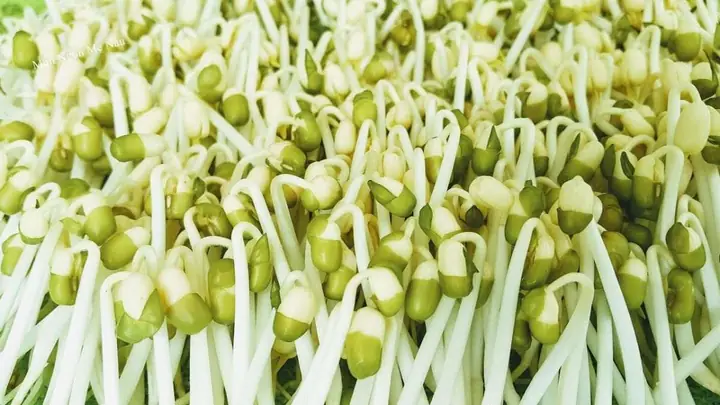 Các Món Gia Do Tự Làm Tại Nha Đơn Giản, Thơm Ngon